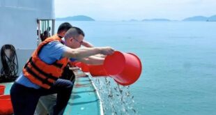 الصين تطلق فراخ السلمون في نهر حدودي لدعم التعاون الإيكولوجي