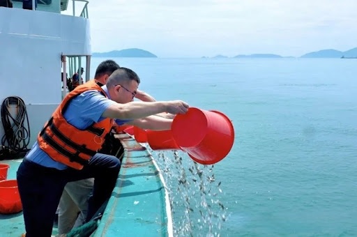 الصين تطلق فراخ السلمون في نهر حدودي لدعم التعاون الإيكولوجي