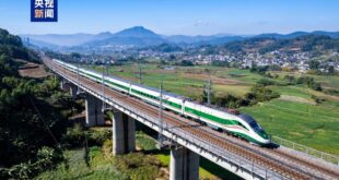 سكة حديد الصين-لاوس تشهد نموا قويا في التجارة عبر الحدود