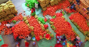 تقرير يتوقع زيادة إمدادات الحبوب والمنتجات الزراعية الرئيسية في الصين خلال 2026