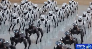 الروبوتات الصينية تصل إلى الأسواق العالمية عبر الصناعات