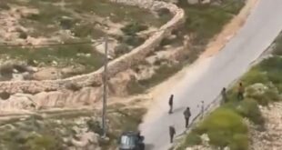 مستوطنون يقتحمون خلايل اللوز جنوب شرق بيت لحم