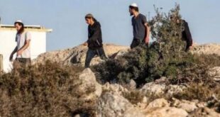 مستوطنون وجنود الاحتلال يهاجمون المزارعين في قرية المغير