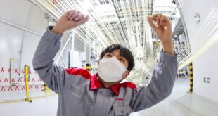 هل سبق لك أن رأيت أليافا أرق من عُشر سُمك شعرة الإنسان؟ هل تعلم ما هي قدراتها؟