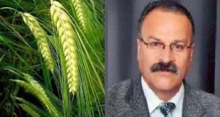 بالخيرِ حُبلى مَحنيّة…. شعر الكاتب : نصير أحمد الريماوي