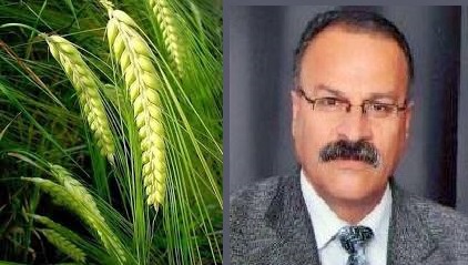 بالخيرِ حُبلى مَحنيّة…. شعر الكاتب : نصير أحمد الريماوي