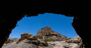 مناظر خلابة لغابة أرضية جنوب غربي الصين