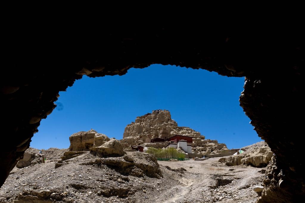 مناظر خلابة لغابة أرضية جنوب غربي الصين