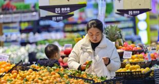 0.5 في المائة ارتفاعا في مؤشر أسعار المنتجين في الصين خلال مارس الماضي