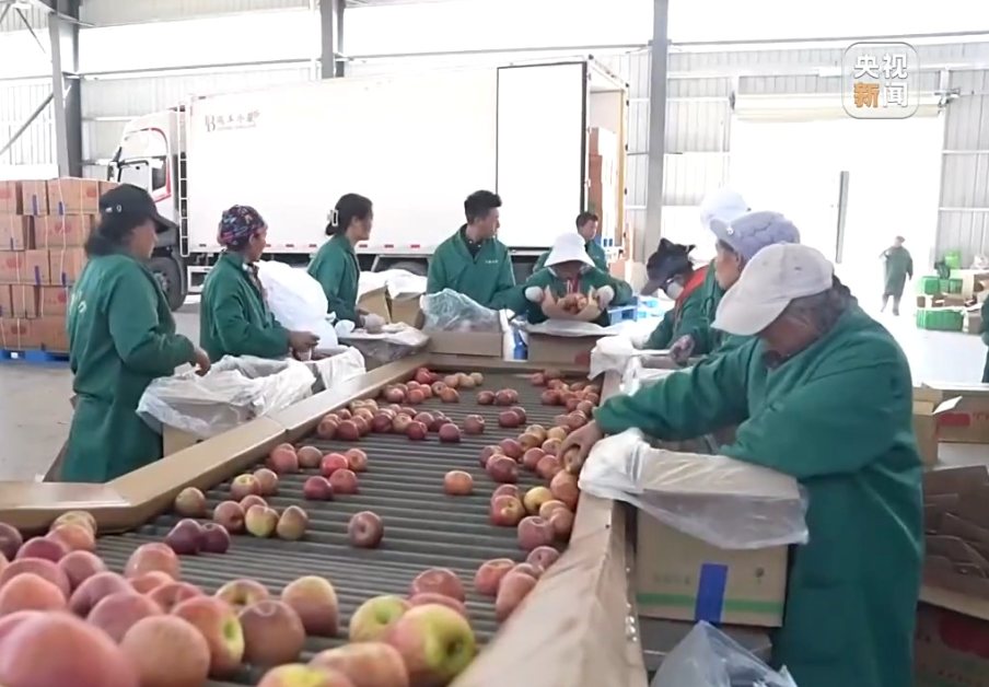 التفاح الصغير يقود صناعة ضخمة: التعاون الإقليمي يُمكّن المنتجات الزراعية من الوصول إلى الخارج