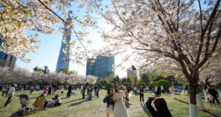 رحلات سياحية محلية خلال عطلة عيد تشينغمينغ