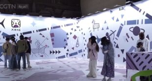 مقابر أباطرة مملكة شيشيا الصينية تصبح منطقة جذب سياحي شهيرة