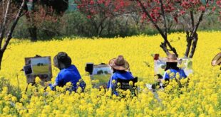 السياحة الربيعية في أنحاء الصين