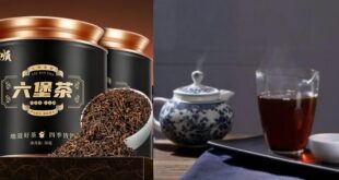 شاي صيني يدعم صحة الجهاز اللمفاوي ويقلل الالتهابات