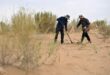 جهود مكافحة التصحر في منطقة منغوليا الداخلية بشمالي الصين