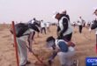 الشباب الصيني الطموح يحدد معنى شبابهم من خلال حياتهم المهنية وخدمة المجتمع