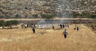 الاحتلال يحرق محاصيل زراعية في المغير شمال شرق رام الله