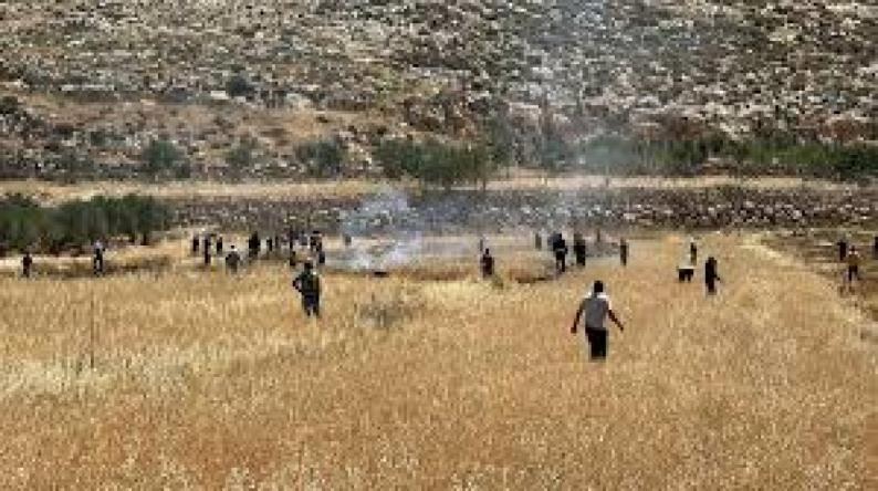 الاحتلال يحرق محاصيل زراعية في المغير شمال شرق رام الله