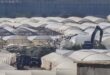 جرافات الاحتلال تشرع بهدم بيوت بلاستيكية بالأغوار الشمالية