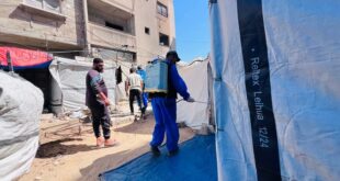 بدعم ليبي .. "جمعية فلسطين الخيرية" تنفذ حملة لمكافحة القوارض بشمال غزة