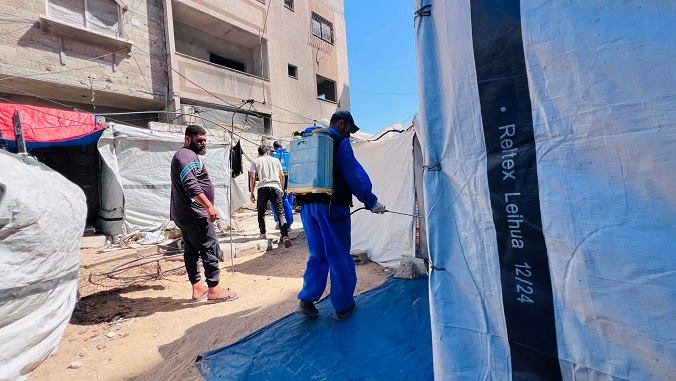 بدعم ليبي .. "جمعية فلسطين الخيرية" تنفذ حملة لمكافحة القوارض بشمال غزة