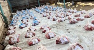 "فلسطين الخيرية" توزع لحومًا مجمدة على أكثر من 500 عائلة نازحة شمال غزة