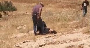 مستوطنون يعتدون على ناشطة أجنبية بالقرب من يطا جنوب الخليل