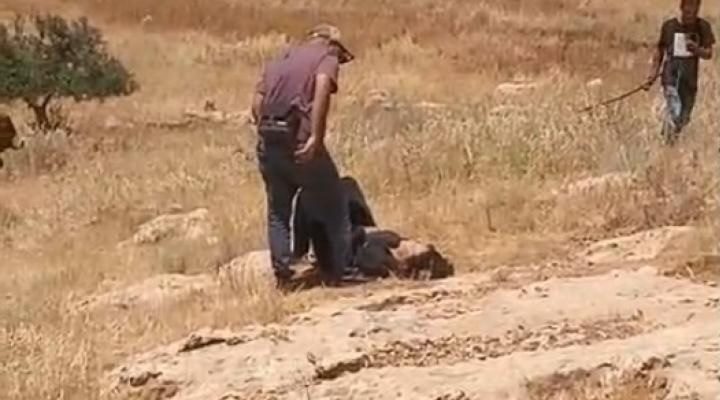 مستوطنون يعتدون على ناشطة أجنبية بالقرب من يطا جنوب الخليل