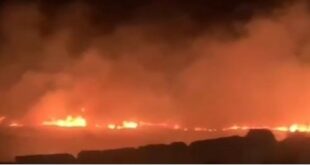 مستوطنون يحرقون أراضي المواطنين الزراعية في قرية المغير شمال شرق رام الله