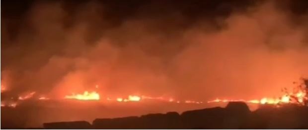 مستوطنون يحرقون أراضي المواطنين الزراعية في قرية المغير شمال شرق رام الله