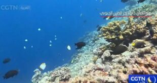 مسح علمي يكشف عن حفرة زرقاء نادرة داخل الشعاب المرجانية في هوانغيان داو في بحر الصين الجنوبي