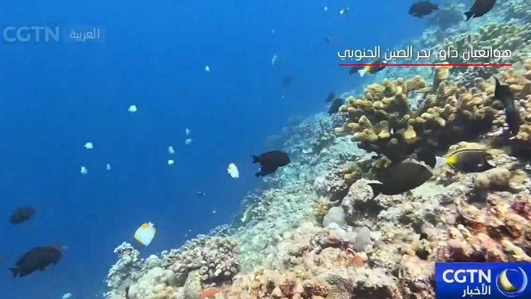 مسح علمي يكشف عن حفرة زرقاء نادرة داخل الشعاب المرجانية في هوانغيان داو في بحر الصين الجنوبي