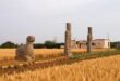 الصين تدفع التوارث الدينامي للتراث الثقافي