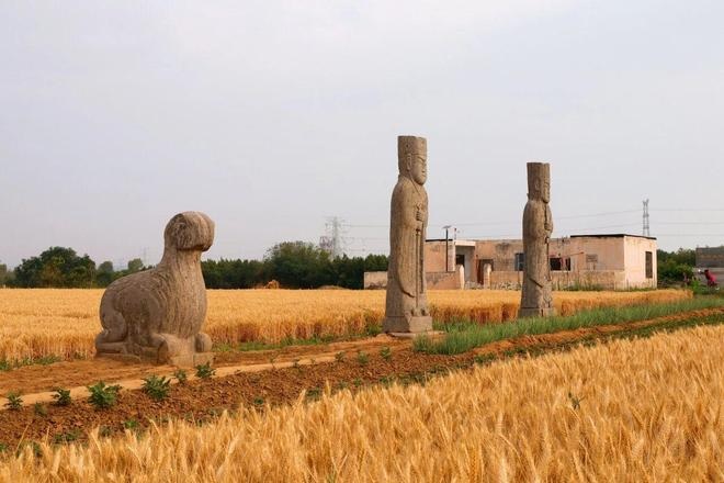 الصين تدفع التوارث الدينامي للتراث الثقافي