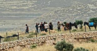 مستعمرون يقتحمون محيط منازل المواطنين شرق المغير بحماية قوات الاحتلال