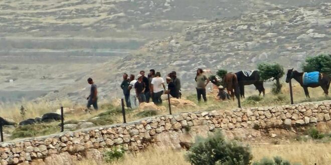 مستعمرون يقتحمون محيط منازل المواطنين شرق المغير بحماية قوات الاحتلال