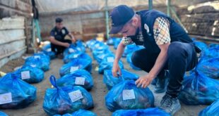 "فلسطين الخيرية" توزع سلال الخضار على عشرات الأسر النازحة شمال قطاع غزة