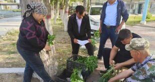 مسؤول محلي للتنمية الريفية: النهضة الريفية تتحقق بجهود الجميع