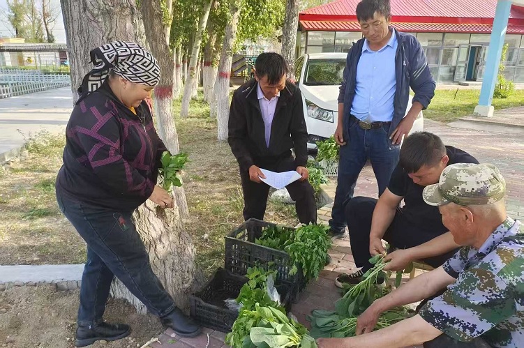 مسؤول محلي للتنمية الريفية: النهضة الريفية تتحقق بجهود الجميع