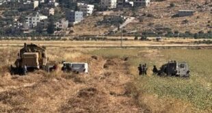 الاحتلال يمنع مزارعين من حصاد القمح في بيت فوريك شرق نابلس