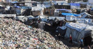 في يوم البيئة العالمي .. وزارة شؤون المرأة تصدر بياناً بعنوان: واقع المرأة الفلسطينية في مواجهة التدهور البيئي