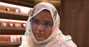"أهمية التعاون بين الصين والدول العربية هو التصدي للمعلومات المضللة وتقديم المعلومات الدقيقة والموثوقة"