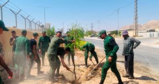 أريحا تواصل تعزيز غطائها الأخضر بإطلاق حملة لتشجير مداخل المدينة