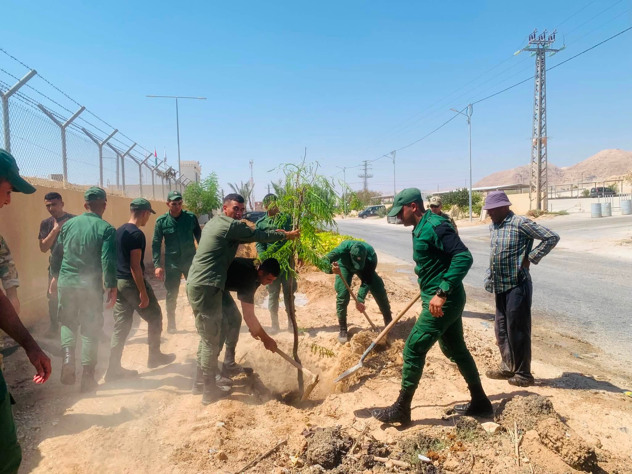 أريحا تواصل تعزيز غطائها الأخضر بإطلاق حملة لتشجير مداخل المدينة