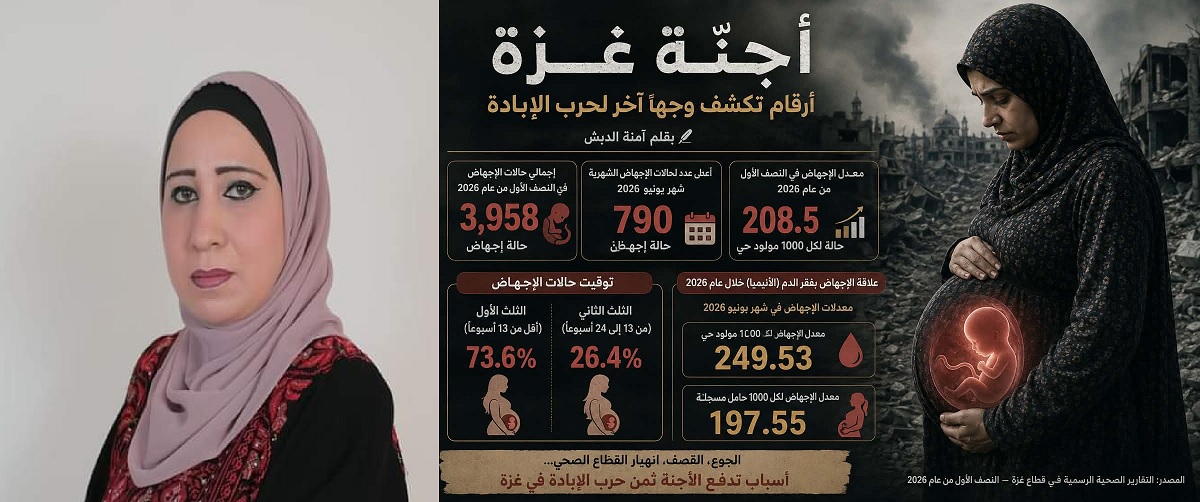 أجنّة غزة أرقام تكشف وجهاً اخر لحرب الإبادة ، بقلم : آمنة الدبش