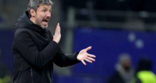 فان بوميل يستعد لتدريب المنتخب البلجيكي لكرة القدم