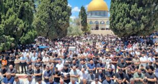 65 ألفا يؤدون صلاة الجمعة في المسجد الأقصى