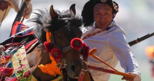 مهرجان سباق الخيل بشمال غربي الصين