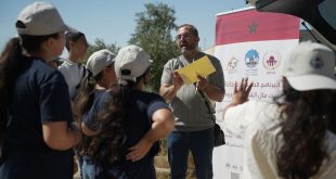 بدعم من "بيت مال القدس": "المدارس الصيفية" تحتفي بشجرة الزيتون الفلسطينية