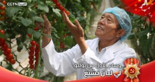 الحائز على "وسام الأول من يوليو" لي ليان تشنغ: أكثر من 30 عاما من الاجتهاد ساعد للانتشال من الفقر